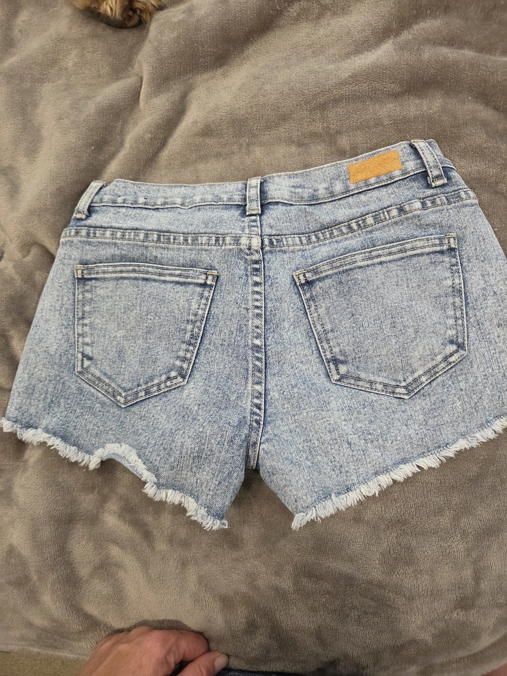 BLVD Light Blue Frayed Hem Denim Shorts